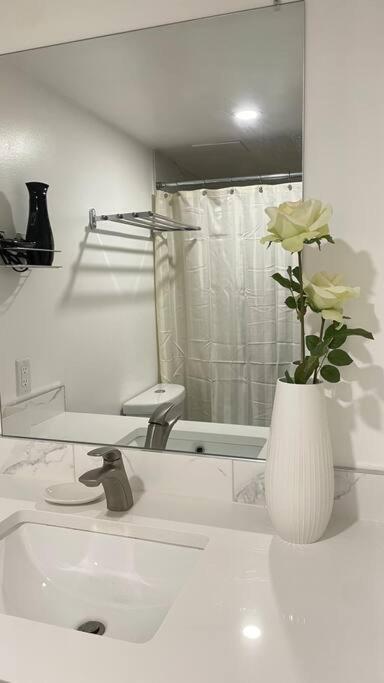 Unit #204 Cozy Mountain View 2br In Downtown Apartment *